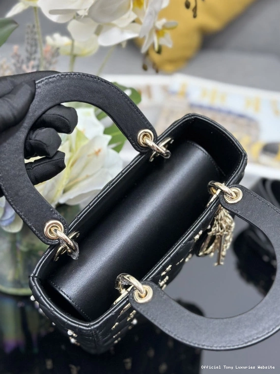 Tony Luxuries DI0R-20CM LADY 0711